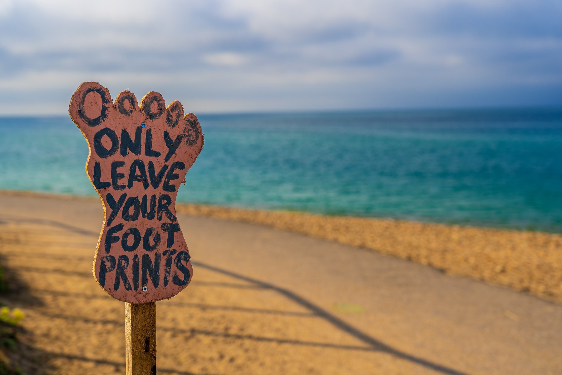 Vegan sneakers | Foempies | Only leave your footprints